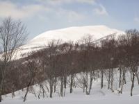 「姥ヶ岳」の画像