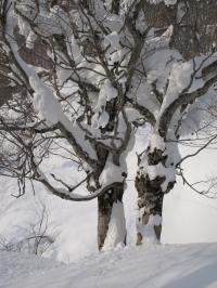 「今日一日」の画像