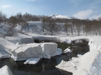「雪解けで湿地拡大」の画像