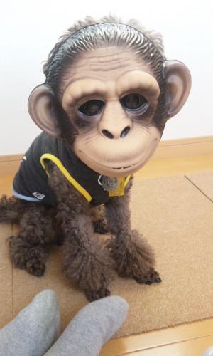 「新種現る?!」の画像