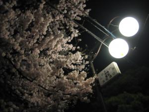 「寒い」の画像