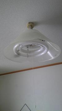 「ピッカピカ!」の画像