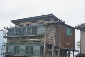 ¡Ö£¶¡¿£²£³Æü¡¡ÌÚÍËÆü¡¡º£Ç¯À¸¤Þ¤ì¤ÎÈ·¤¯¤ó¤Î¡Ö½é¼Ë³°¡×¤ò»Ï¤á¤Þ¤·¤¿¡£¤ä¤Ã¤È¡Ö½©¥ì¡¼¥¹ÍÑ¡×¤Î»ÏÆ°¤Ë¤³¤¸¤Ä¤±¤Þ¤·¤¿¡£¡×¤Î²èÁü