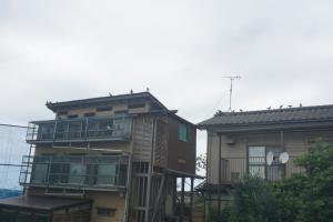 ¡Ö£·¡¿£±Æü¡¡¶âÍËÆü¡¡º£Æü¤Ï¡¢°ì½µ´Ö¿¶¤ê¤ÎÆó²óÌܤμ˳°¤Ç¤¹¡£¡×¤Î²èÁü