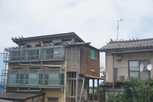 ¡Ö£·¡¿£±£±Æü¡¡·îÍËÆü¡¡±ä¤Ó¤Æ¤·¤Þ¤Ã¤¿Âè»°¿Ø¡Ö¿÷È·¤¯¤ó¡×¤Î½é¼Ë³°¤Ç¤·¤¿¡£¡×¤Î²èÁü