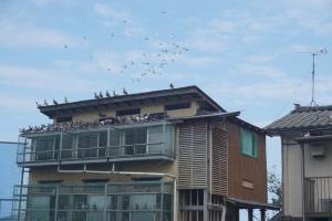 ¡Ö£·¡¿£²£µÆü¡¡·îÍËÆü¡¡ËÜÆü¤ä¤Ã¤È¡Öº£½©¥ì¡¼¥¹»²²ÃÍÑ¿÷È·¤¯¤ó¡×¤Î¡Ö½é¼Ë³°¡×¤¬½ª¤ï¤ê¤Þ¤·¤¿¡£¡×¤Î²èÁü