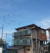 ¡Ö£¸¡¿£±Æü¡¡½ë¤µ¤¬¿È¤ËÝî¤ß¤Þ¤¹¤¬¡¢È·¤¯¤ó¤Ïº£Æü¤«¤é¡Ö¶¯À©¡×¤Ç°ì²óÈô¤ó¤ÇÌ㤤¤Þ¤·¤¿¡£¡×¤Î¥µ¥à¥Í¥¤¥ë