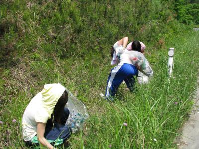 「こんにちは。高ボラ北斗です。」の画像