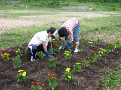 「花植えをしました。」の画像