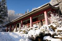 ¡Ö½é·Ø¤Ï¾®ÌîÀî¤ÎÂç¹õÍͤءפβèÁü