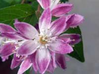 ¡Ö²¿¤ò¤¹¤Ù¤¤«¡×¤Î²èÁü