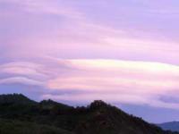 ¡Ö¤ªÃΤ餻¤Ç¤¹¡×¤Î²èÁü