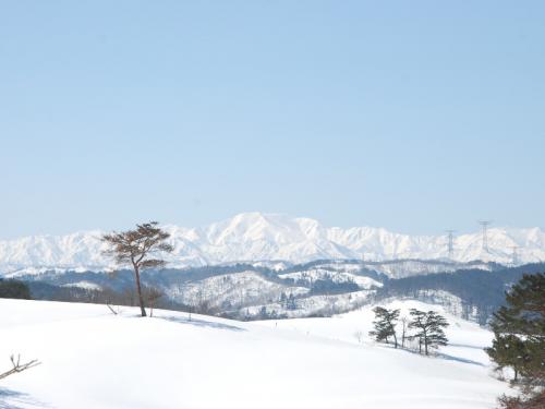 「春めいた陽気な今日♪」の画像