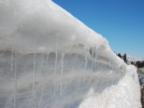 「一気に雪解けのシーズンです!」の画像