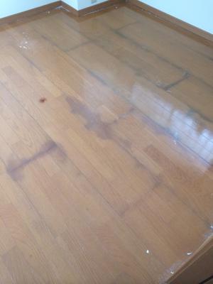 「★5月はやはり暇です byインテリアウイング ★」の画像