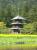 【サイクリングたかはた】安久津八幡神社:2009.05.30