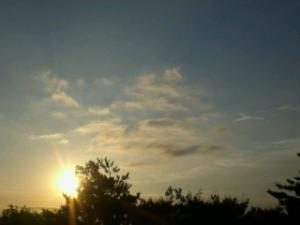 ¡ÖÆá¿Ü¤ÎÄ«¾Æ¤±¡×¤Î²èÁü