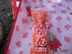 「冷凍みかん」の画像