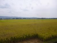 「一揆は東北に火が付いた」の画像