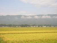 「ため息がでる美しさ」の画像