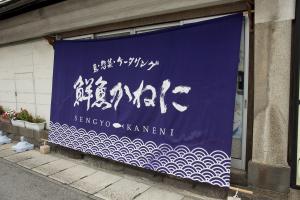 ¡Ö¥Û¡¼¥à¥Ú¡¼¥¸¤¬½ÐÍè¤Þ¤·¤¿¡ª¡×¤Î²èÁü