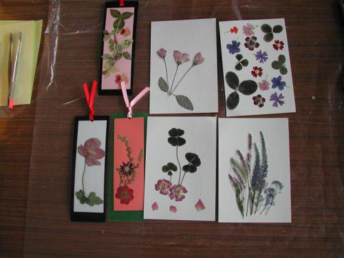 南陽市 バラの押し花体験サロン Eおきたまネット 東置賜商工会広域連携協議会