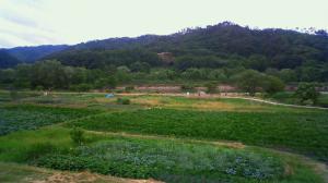 「母なる川、最上川…」の画像