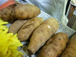 ダリヤを食べたぞ 四季の料理教室 かわにしツーリズム