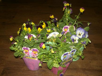 2008/10/17 11:21/先日いただきました。