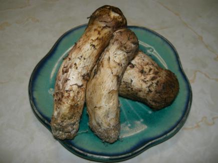 2008/10/23 14:18/旬な食材、3兄弟?×3