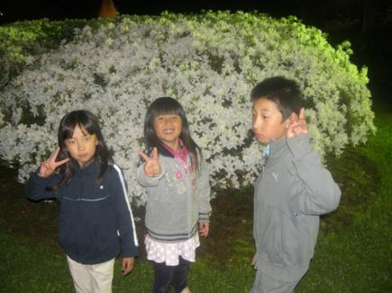 2010/05/28 15:42/見ごろでしたよ♪