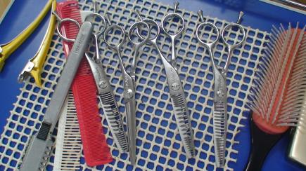 2012/06/07 11:59/¤Ï¤µ¤ß