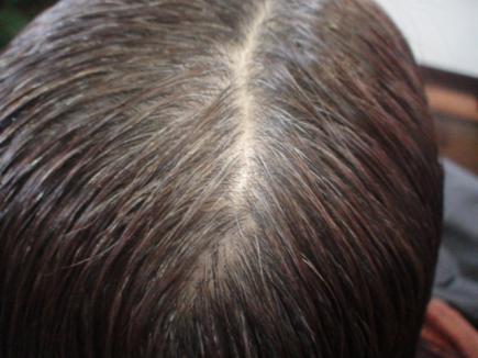 2012/06/09 06:38/ハナヘナのお客様