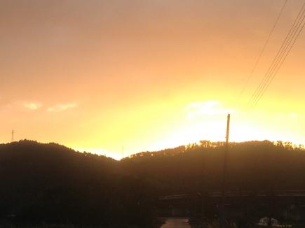 2012/11/08 06:30/先日の日曜日は朝から萱を狩りに行って来ました。