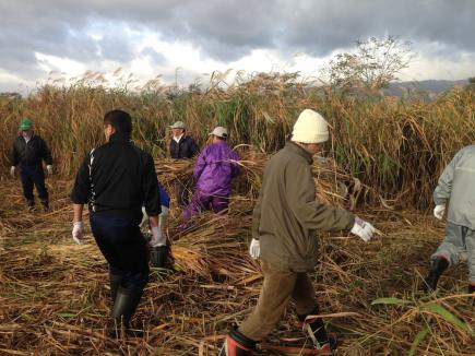 2012/11/08 06:40/萱を運ぶ人