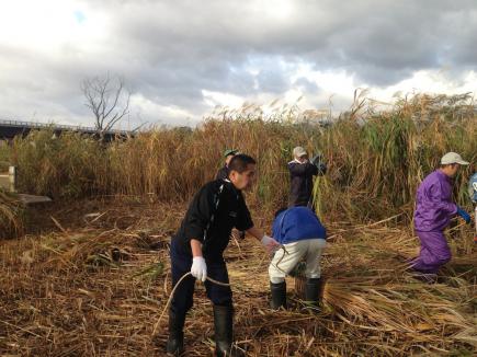 2012/11/08 06:44/縄を使い束ねる人