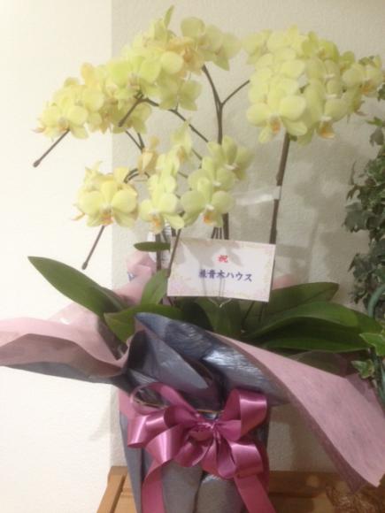 2014/12/24 12:02/今回手掛けて頂いた青木ハウス様からお花を頂きました!