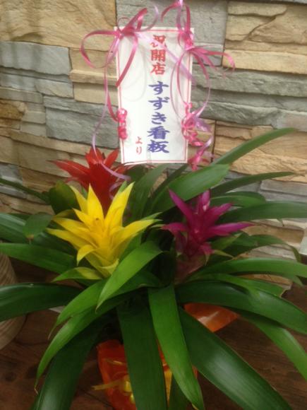 2015/01/29 06:02/お花も頂きました♪