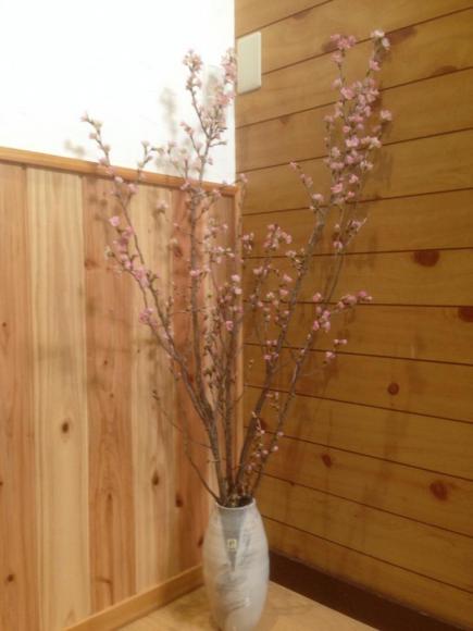 2015/02/05 00:01/立春らしく(^-^)/