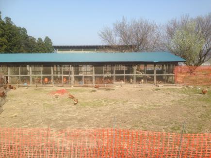 2015/05/08 05:15/お次は菅野農園‼︎