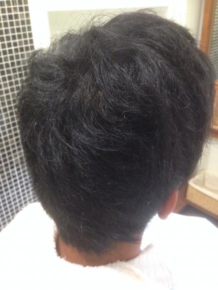 2015/07/29 07:01/後ろ側からはこんな感じ(ビフォー)