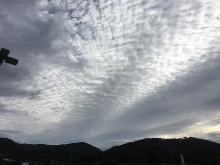 2016/10/11 05:00/10kmマラソン初エントリー!