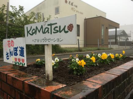 2016/10/21 05:00/花の散歩道花道