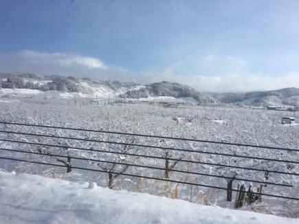 2017/01/11 07:07/帰りはまた気を引き締めて!