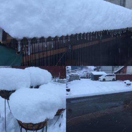 2017/01/12 07:00/1月ですもん、そりゃ〜降りますよね!