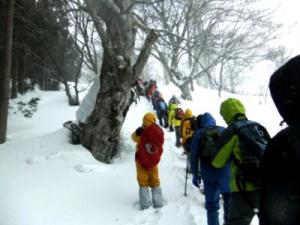 ¡Ö¡ÖÂ裱£¹²óÀã¤Î³Ø¹»¡×³«ºÅ¤Î¤ªÃΤ餻¡×¤Î²èÁü