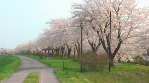 「夕日と共に」の画像