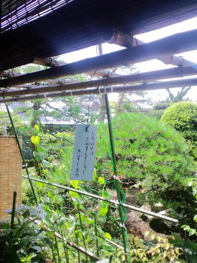 「夏の音」の画像