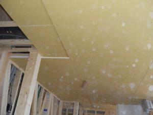 ¡Ö»³·Á»Ô £Í£ÓÍÍÅ¡¿·ÃÛ¹©»ö-25 ÆâÉô¤ºî ¡ØŽÃޏŽÉ޽ŽÄŽ×ޏŽÁެް¤Ç·ú¤Æ¤ë»³·Á¤Î²È¡Ù¡×¤Î²èÁü