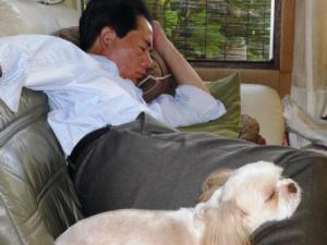 ¡Ö¤ªÃ뿲¤Ç¤¹¢ö¡×¤Î²èÁü